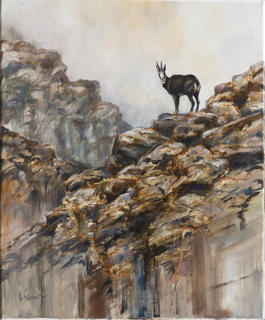Salon d'Auteuil 2016 - Chamois de Haute-Savoie