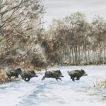 Sangliers dans la neige - Aquarelle - 20x30 - A6767
