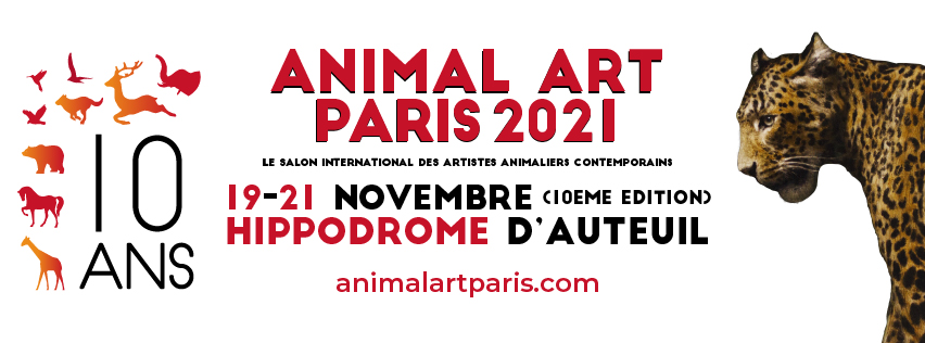 Bandeau exposition Animal Art Paris