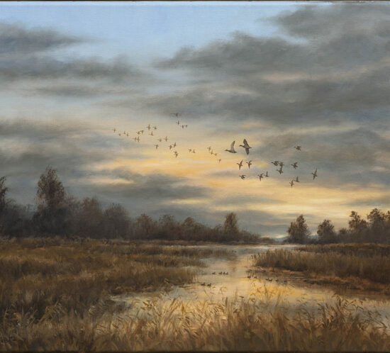 Passée de canards - Huile sur toile 15P (50x65) - H9376