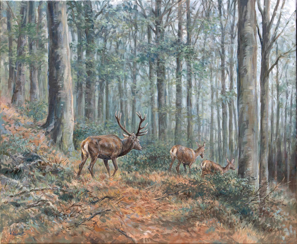 Cerf et biches dans les Vosges - Huile sur toile - 15F (54x65) - H7921