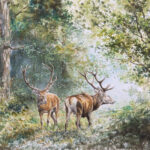 Cerfs vant le combat - Aquarelle - 29x39 - A8288