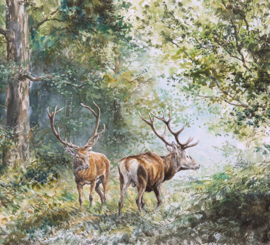 Cerfs vant le combat - Aquarelle - 29x39 - A8288