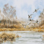 Pose de colverts - Aquarelle - 20x30 - A5076