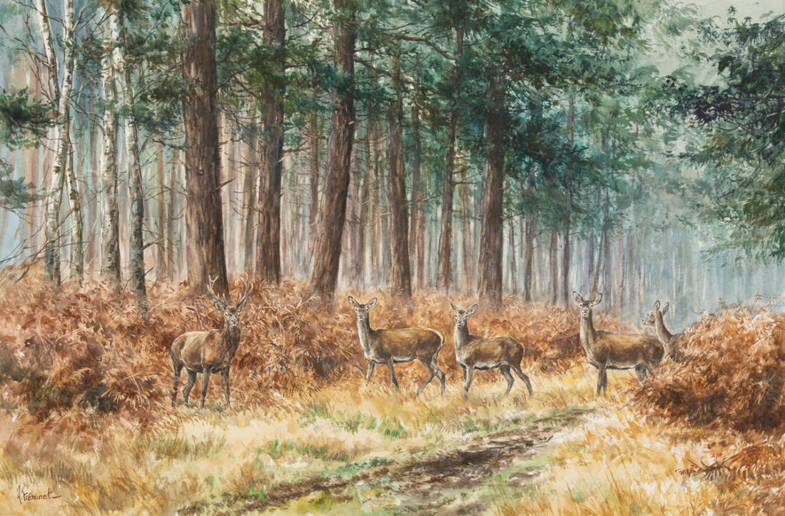 La harde - Aquarelle 40x60 - A3670