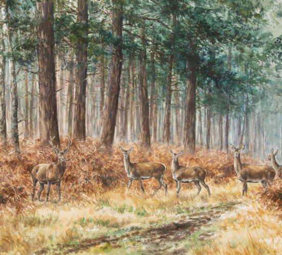 La harde - Aquarelle 40x60 - A3670