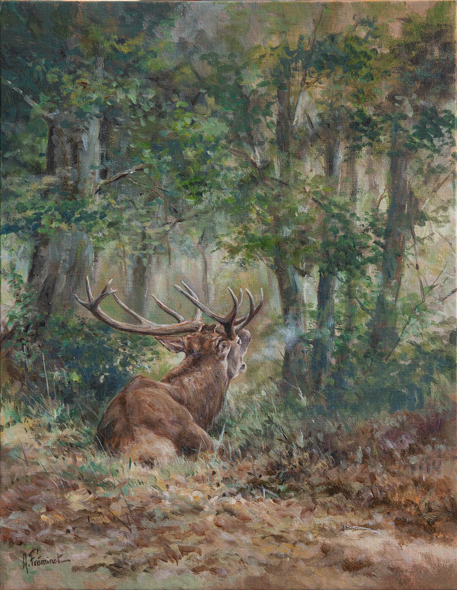 Le brame - Acrylique - 35x27 - Ac6592