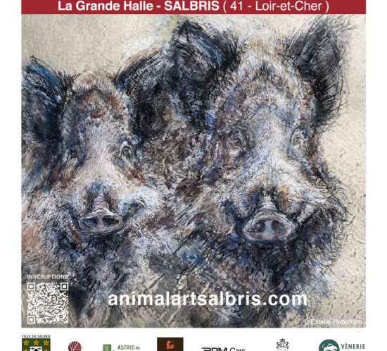 Exposition Animal Art Salbris